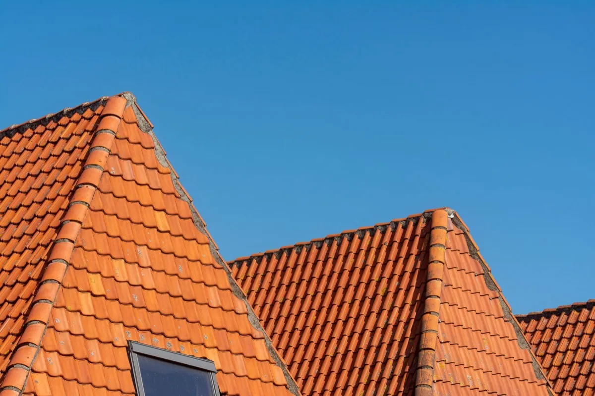 Insurance Claim Help in Murrieta, CA
